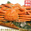 送料無料 お徳用 ボイル姿 ズワイガニ 約700g×2尾セット 脚折れ 送料無料市場 (ずわい蟹 割引 わけあり グルメ 鍋 ギフト ズワイ) グルメ かに カニ zuwai2bi お取り寄せグルメ 海鮮 冬グルメ 2020 うまいもの大会 お歳暮 年末年始 年内配送