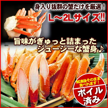 先着100名1000円OFFクーポン かに カニ【送料無料】 5kg ずわいがに 訳あり ズワイガニ かに鍋 人気 お歳暮 正月 【年末年始予約】【送料無料市場】 蟹 「ズワイガニ5kg」お歳暮ギフト 食品 海産物 kani 当店人気 カニ鍋 スーパーセール