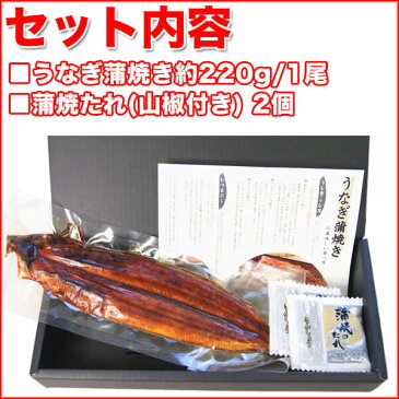 うなぎ 国産 蒲焼き 特大 約220g 1尾 プレゼント 食品 食べ物 ギフト 贈答 お取り寄せグルメ 当店人気 送料無料 母の日 父の日 プレゼント 2021 美味しいもの おすすめギフト 実用的