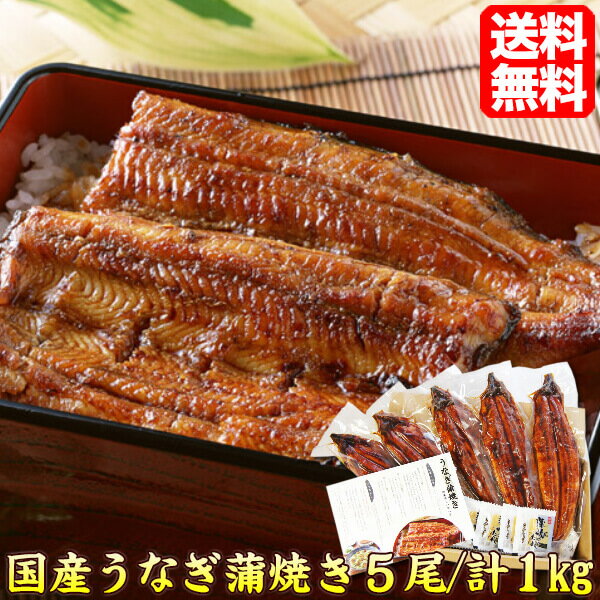 うなぎ 蒲焼 本格 5尾/合計1kg 送料無料 食品 鰻 ウナギ 蒲焼 国産 ひつまぶし ギフト プレゼント 贈答 有頭/真空包装 食品 土用丑 39ショップ unagi5bi 通販 自宅用 贈答 ギフト プレゼント 母の日 ギフト