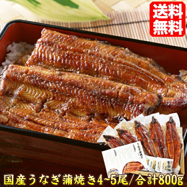 うなぎ 蒲焼き 【送料無料】本格！4〜5尾/総重量800g♪ お取り寄せ ウナギ 国産 鰻 うなぎ蒲焼 国内産 有頭/真空包装 国産 39ショップ unagi800 自宅用 贈答 ギフト プレゼント 母の日 父の日 ギフト