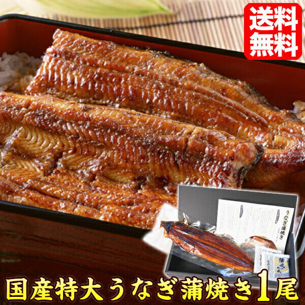 うなぎ 国産 蒲焼き 特大 約220g 1尾 