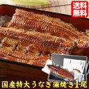 うなぎ 国産 蒲焼き 特大 約220g 1尾 プレゼント 食べ物 ギフト 贈答 お取り寄せグルメ 当店人気 送料無料 プレゼント 贈り物 自宅用 ギフト グルメ コロナ ステイホーム ギフト プレゼント 贈答 母の日 ギフト