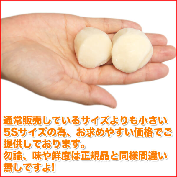 ホタテ 北海道産 ホタテ貝柱 1kg お刺身用 小さめサイズ（生 ほたて 帆立 バラ ）食品 食べ物 5s-hotate