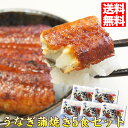 うなぎ 蒲焼き 500g (100g×5食) パック セット 送料無料 鰻 お得用 ご自宅用 うなぎ ひつまぶし 土用の丑の日 土用丑
