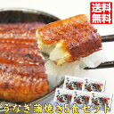 うなぎ 蒲焼き 500g (100g×5食) パック セット 送料無料 鰻 お得用 ご自宅用 うなぎ ひつまぶし 土用丑 土用の丑の日