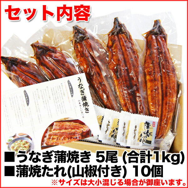 うなぎ 蒲焼 本格 鹿児島県産 5尾/合計1kg 送料無料 食品 鰻 ウナギ 蒲焼 国産 ひつまぶし ギフト プレゼント 贈答 有頭/真空包装 食品 土用丑 39ショップ unagi5bi 通販 自宅用 贈答 ギフト プレゼント お中元 夏ギフト