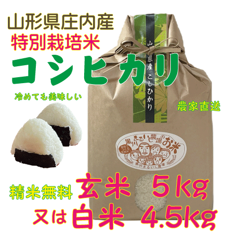 精米無料【送料無料 沖縄を除く 】令和5年度特別栽培米山形県庄内産コシヒカリ 玄米5kg白米 4.5kg 一等米 鶴岡 贈答 お中元 お歳暮