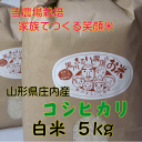 【送料無料（沖縄を除く）】令和2年度特別栽培米山形県庄内産コシヒカリ　白米5kg 家族みんなでつくる笑顔米