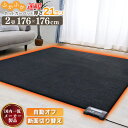 マラソンSALE！【限界価格挑戦！】 プレミアム 電気カーペット 2畳 176×176 ホットカーペット 厚さ21mm 暖房器具 暖房 床暖房カーペット ホットマット 電気マット 電気ホットカーペット 電気 ホット カーペット 冬 秋冬 暖か あったかグッズ 厚手