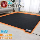 マラソンSALE！【限界価格挑戦！】 省エネ 電気カーペット 3畳 195×235 ホットカーペット 暖房器具 暖房 床暖房カーペット ホットマット 電気マット 電気ホットカーペット 電気 ホット カーペット 3畳用 冬 秋冬 暖か あったかグッズ コンパクト収納