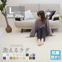 新活応援SALE！【抗菌・防ダニ】洗える特価2850円 ラグ 洗える 200×250 ラグマット 3畳 滑り止め付 西海岸 絨毯 マット ラグカーペット 北欧 カーペット おしゃれ ラグ 春 夏 ウォッシャブル 洗えるラグ ホットカーペット対応 リビング 床暖房対応