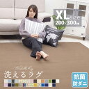 マラソンSALE！【抗菌・防ダニ】 ラグ 洗える 200×300 ラグマット 滑り止め付 西海岸 絨毯 マット ラグカーペット 北欧 カーペット おしゃれ ホットカーペット対応 リビング 洗えるラグ 春 夏 ウォッシャブル リビング