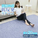 先どり夏SALE！ 低反発 ラグ ラグマット 夏用 接触冷感 200×200cm ひんやり ラグマット 低反発 厚20mm 防音 フロア …