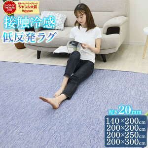 マラソンSALE！【10％オフクーポン】 低反発 ラグ ラグマット 夏用 接触冷感 200×300 200×250 200×200 140×200 ひんやり ラグマット 低反発 厚20mm 防音 フロア 床 滑り止め付 厚手 ふかふか 北欧 冷感 涼しい クールマット 節電 エコ 極厚 夏