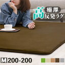 先どり夏SALE！ ラグ 高反発 極厚25mm 200×200cm ラグ 厚手 滑り止め ラグマット カーペット 2畳 ホットカーペット対応 リビング 高反発ラグ 春 夏 フリーリー