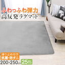 【抗菌 防ダニ】ラグ 高反発 極厚25mm 200×250cm ラグ 厚手 滑り止め ラグマット カーペット 3畳 ホットカーペット対…