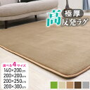 マラソンSALE！【ジャンル大賞！】 ［選べる！4サイズ5カラー］ ラグ 高反発 極厚25mm 200×300cm 200×250cm 200×200cm 140×200cm ラグ 厚手 滑り止め ラグマット カーペット 3畳 ホットカーペット対応 リビング 高反発ラグ 春 夏