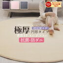 10周年記念SALE!【ジャンル大賞!】 ラグ 円形 低反発 直径 140cm 200cm 極厚25mm 洗える ラグ 厚手 滑り止め 低反発マット マットリビ...