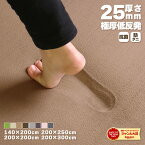 28日0時～24時P5倍！【ジャンル大賞！】 ラグ 低反発 極厚25mm 140×200cm 200×200cm 200×250cm 200×300cm ラグ 厚手 滑り止め ラグマット マット カーペット ホットカーペット対応 リビング 春 夏 おしゃれ 北欧 フリーリー