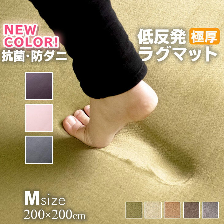 送料無料！【グッドプライス】 ラグ 低反発 極厚25mm 200×200cm ラグ 厚手 滑り止め ラグマット カーペット 2畳 ホットカーペット対応 リビング 秋 冬 フリーリー