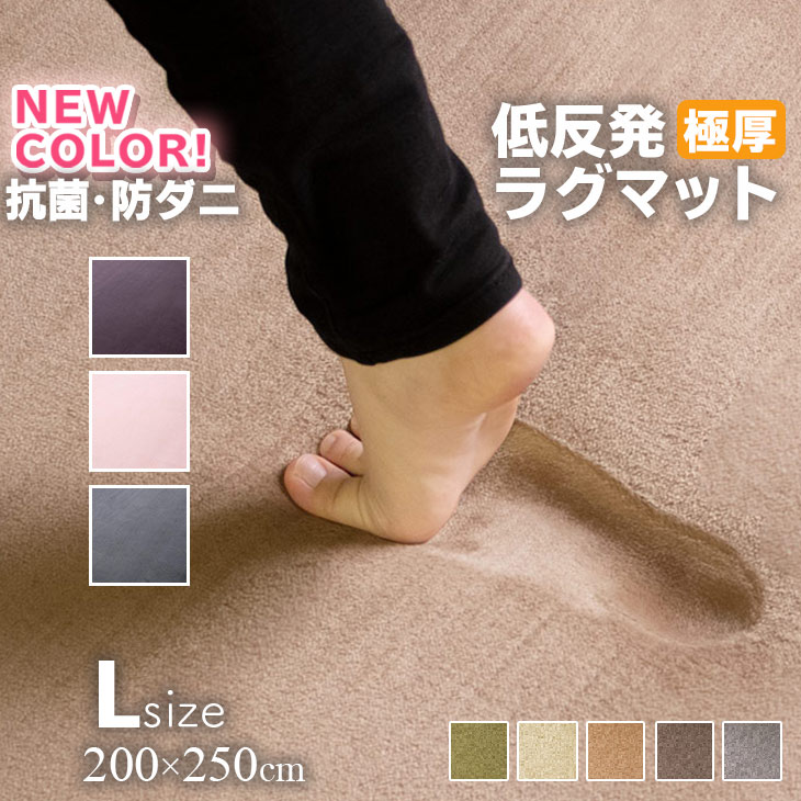 大決算セール！【グッドプライス】 ラグ 低反発 極厚25mm 200×250cm ラグ 厚手 滑り止め ラグマット カーペット 3畳 ホットカーペット対応 リビング 秋 冬 フリーリー