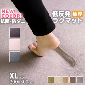 マラソンSALE！【ジャンル大賞！】 ラグ 低反発 極厚25mm 200×300cm ラグ 厚手 滑り止め ラグマット カーペット 4畳 ホットカーペット対応 リビング 春 夏 フリーリー