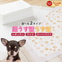 10周年記念セール!【最安10%オフクーポン!】★プリント柄入り★ ペットシーツ レギュラー 200枚 800枚 1200枚 ワイド 100枚 400枚 600枚 スーパーワイド 50枚 200枚 300枚 薄型 ペット シート シーツ ペットシート ペット用 犬 猫 おしっこシーツ トイレ 1回 使い捨て