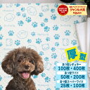 10周年記念セール!【最安10%オフクーポン!】 ペットシーツあつ型 ペットシーツ レギュラー 厚型 100枚 400枚 ワイド 厚型 50枚 200枚 スーパーワイド 厚型 25枚 100枚 厚型 ペット シート ペットシート ペット用 犬 猫 1回 使い捨て 多頭飼い 大容量