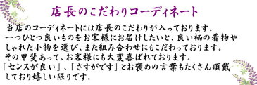 プラチナ着物セット 夏用4点 洗える色無地と正絹夏帯（絽：浅葱色：L）