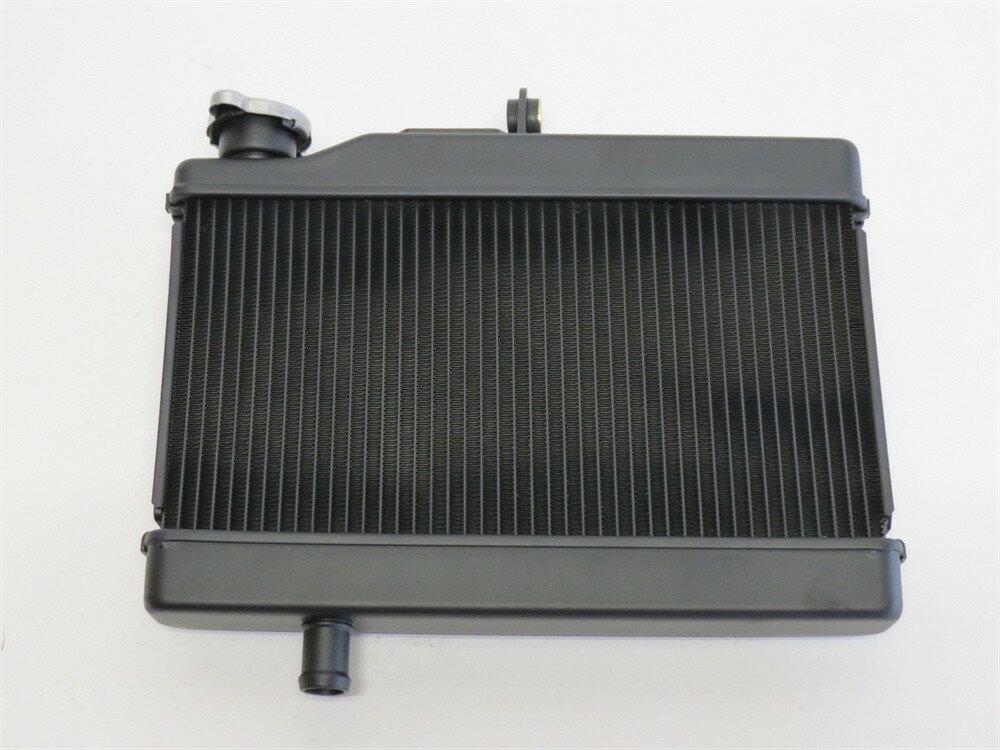 Ÿǰshop㤨honda Rebel250 ֥250 2020-2023 cl250 2023 饸 饸פβǤʤ14,850ߤˤʤޤ