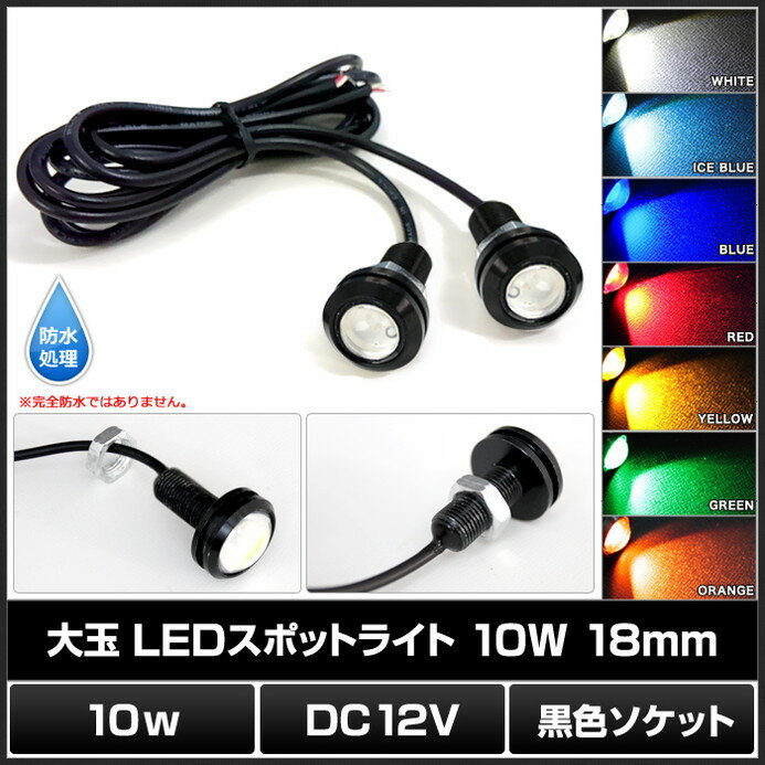 [2個] 防水 大玉LEDスポットライト 10W/12V/18mm [黒色ソケット]