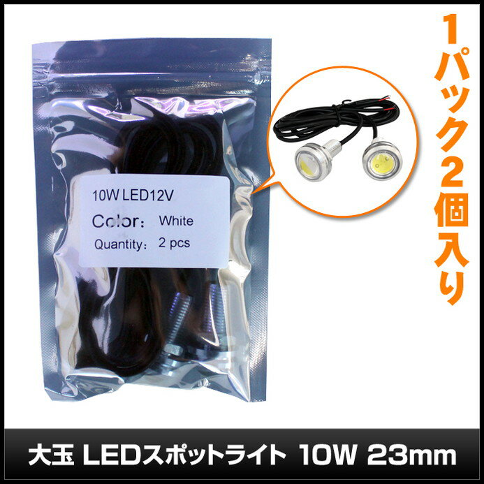 [2個] 防水 大玉LEDスポットライト 10W/12V/23mm [銀色ソケット]