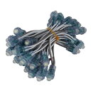 (50連×1set) 12V ピクセルLEDモジュール 12mm