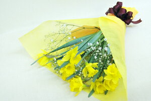 楽天市場 水仙 ラッパ 花束 送料無料 スイセン 水仙の花 水仙とカスミ草の花束 水仙の ミニ ミニスイセン 日本水仙 水仙まつり 花ギフト 誕生日 結婚記念日 ポイント消化 100円 300円 500円 花ギフト 山形産果物野菜 花樹有 楽天市場 水仙 ラッパ 花束 送料無料 スイセン 水仙の花 水仙とカスミ草の花束 水仙の ミニ ミニスイセン 日本水仙 水仙まつり 花ギフト 誕生日 結婚記念日 ポイント消化 100円 300円 500円 花ギフト 山形産果物野菜 花樹有