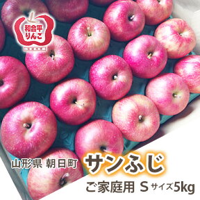 ふじりんご 送料無料 【 訳あり Sサイズ 5kg 満杯詰め 球数の目安 約20〜23玉入り 完熟 蜜入り サンふじりんご（ 葉取らずりんご ） 山形 朝日町 和合平 有機 肥料 減農薬 栽培 りんご 贈答 サンふじ 農産物 ポイント消化 100円 300円 500円