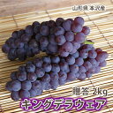 キングデラ キングデラウェア ぶどう 葡萄 ブドウ 送料無料 【 秀 贈答 2kg (満杯詰め ) 山形市 本沢産 】 お中元 ギフト 大粒 果物 高級 種無し...