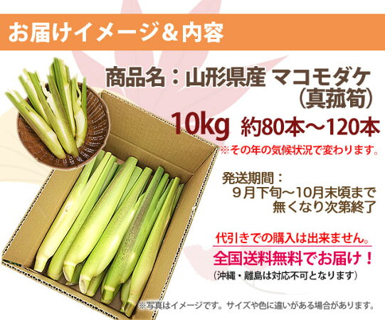 真菰 茶 マコモタケ 真菰筍 送料無料 約80本 1本 健康野菜 無農薬野菜 100円 ポイント消化 ダイエット野菜 10kg まこも 育て方 マコモタケの栽培 栄養 マコモダケ 山形産 料理 食べ方 里庄 まこも筍 中華 マコモタケ 通販 送料無料 マコモダケ 10kg 約80本 1本 真菰 茶 マコモタケ 真菰筍 送料無料 約80本 1本 健康野菜 無農薬野菜 100円 ポイント消化 ダイエット野菜 10kg まこも 育て方 マコモタケの栽培 栄養 マコモダケ 山形産 料理 食べ方 里庄 まこも筍 中華 マコモタケ 通販 送料無料 マコモダケ 10kg 約80本 1本