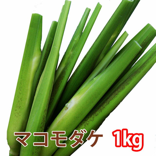 マコモタケ 通販 送料無料 【 マコモダケ 1kg（約8本〜12本) 】 マコモ まこも 真菰 真菰筍 生食 食用 新鮮 無農薬野菜 ダイエット野菜 健康野菜 山形 農産物 育て方 栄養 業務用 マコモタケの栽培 粉末 マコモタケ 茶 中華 ポイント消化 100円 300円 500円