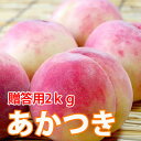 桃 あかつき 白桃 送料無料 【 秀 2kg 6~7個 満杯詰 加藤農園 有機 肥料 減農薬 栽培※発送期間は 8月10日頃~8月15日頃 】 フルーツ もも 訳あり 家庭用 白桃 農産物 ポイント消化