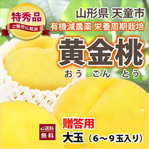 黄金桃 送料無料 完熟 黄桃 山形 ギフト 【 黄金桃 贈答用 特秀品 大玉2kg（6〜9玉）...