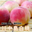 2025年 予約 桃 川中島白桃 【 贈答品 川中島白桃 特秀 大玉 2kg 6玉 加藤農園 有機 肥料 減農薬 栽培 ※発送期間 8月28日頃~9月7日頃 】 国産 ギフト フルーツ あかつき おどろき 川中島 白桃 農産物 ポイント消化