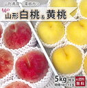 山形 桃 もも 送料無料 【 特秀 特大 約5kg 10~13玉 贈答 東根 中野さんの桃 】白桃 あかつき 川中島 幸茜 伊達白桃 黄桃 黄金桃 黄貴妃 黄ららの極 山形産 ギフト ボックス 敬老の日 朝摘み クーポン 特秀 もも モモ 農産物 ポイント消化 100円 300円 500円
