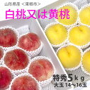 山形 桃 もも 送料無料 【 特秀 大玉 約 5kg14~16玉 贈答 東根 中野さんの桃 】白桃 あかつき 川中島 幸茜 伊達白桃 黄桃 黄金桃 黄貴妃 黄ららの極 山形産 ギフト ボックス 敬老の日 朝摘み クーポン 特秀 もも モモ 農産物 ポイント消化 100円 300円 500円