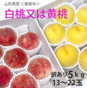 山形 桃 もも 送料無料 【 訳あり 約5kg13~22玉 贈答 東根 中野さんの桃 】白桃 あかつき 川中島 幸茜 伊達白桃 黄桃 黄金桃 黄貴妃 黄ららの極 山形産 ギフト ボックス 敬老の日 朝摘み クーポン 特秀 もも モモ 農産物 ポイント消化 100円 300円 500円