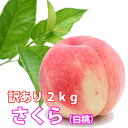 桃 もも 送料無料 【 白桃 さくら 訳あり 2kg 加藤農園 】 山形産 ギフト ボックス 敬老の日 朝摘み クーポン 訳あり 5kg 特秀 桃太郎 もも モモ 農産物 ポイント消化 100円 300円 500円