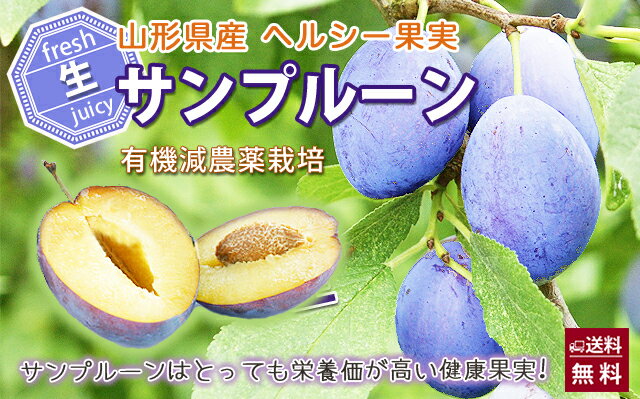 生プルーン プルーン プラム 国産 サンプルーン ご家庭用 結婚記念日 業務用 満杯詰め 花樹有 里芋 10ｋｇ プルーンエキス 生 プルーンジュース 無添加 訳あり 生食 旬 1k 農産物 ポイント消化 100円 300円 500円 花ギフト 山形産果物野菜 花樹有生プルーン プルーン 生