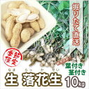 落花生 生落花生 茹で落花生 10kg 5kg 2個 おおまさり 郷の香 殻付き 葉付き 自分でもぎ取り体験 収穫体験 塩ゆで 甘い おつまみ 高級 ギフト 贈...