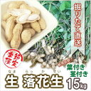 落花生 生落花生 茹で落花生 15kg 5kg 3個 おおまさり 郷の香 殻付き 葉付き 自分でもぎ取り体験 収穫体験 塩ゆで 甘い おつまみ 高級 ギフト 贈...