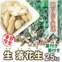 落花生 生落花生 茹で落花生 25kg 5kg 5個 おおまさり 郷の香 殻付き 葉付き 自分でもぎ取り体験 収穫体験 塩ゆで 甘い おつまみ 高級 ギフト 贈...